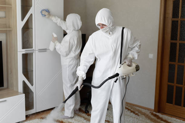 Attic Mold Removal in Creve Coeur, IL